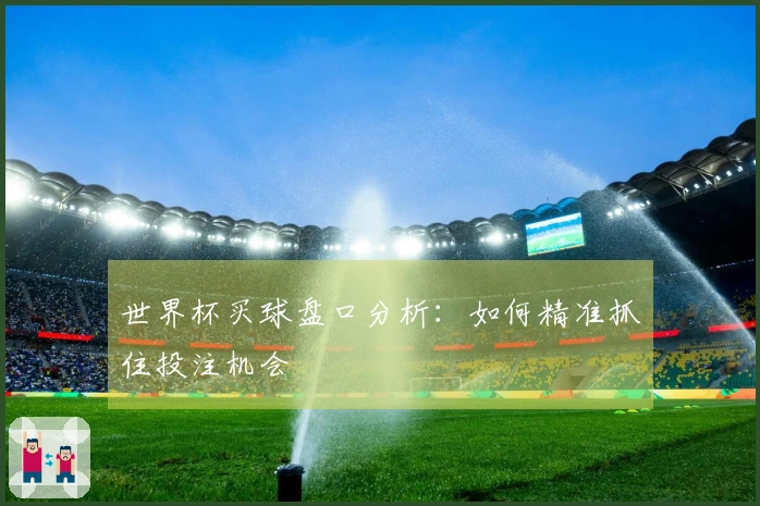 世界杯买球盘口分析：如何精准抓住投注机会