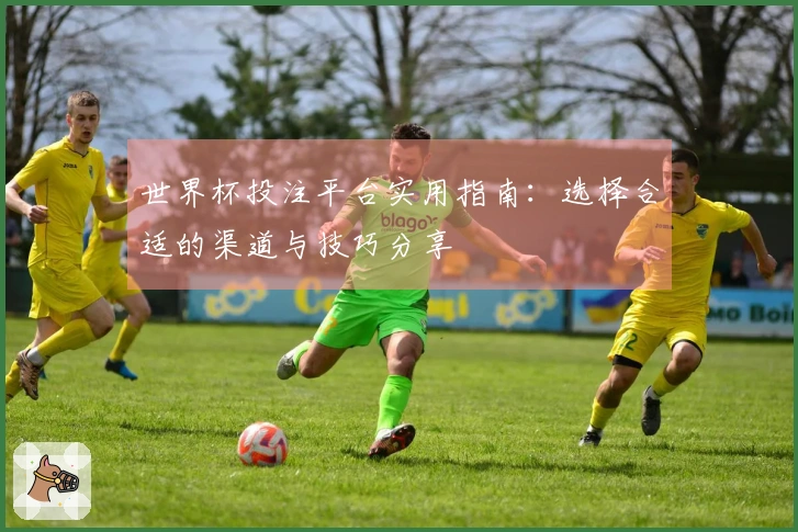 世界杯投注平台实用指南：选择合适的渠道与技巧分享