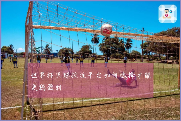 世界杯买球投注平台如何选择才能更稳盈利