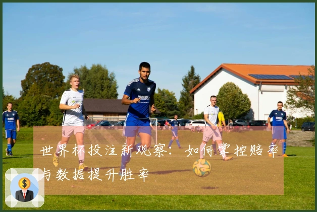世界杯投注新观察：如何掌控赔率与数据提升胜率