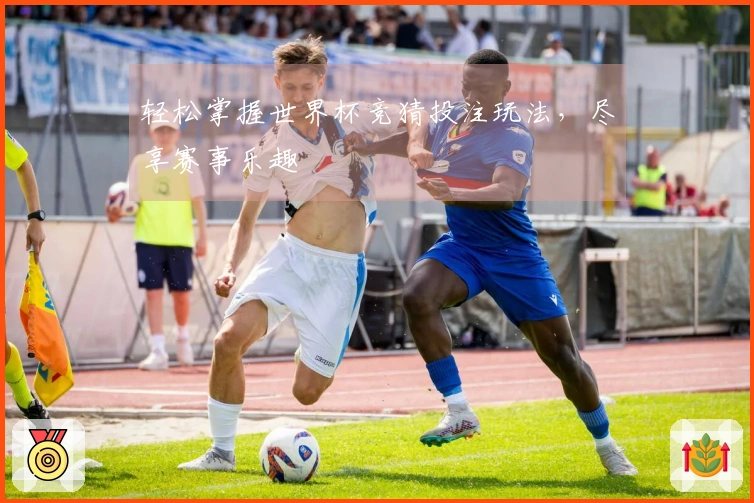 轻松掌握世界杯竞猜投注玩法，尽享赛事乐趣