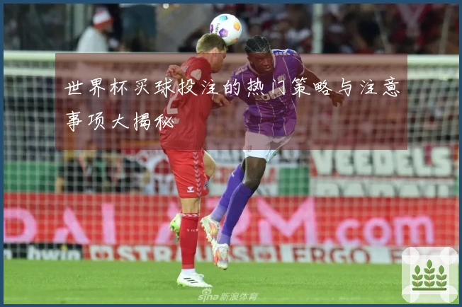 世界杯买球投注的热门策略与注意事项大揭秘