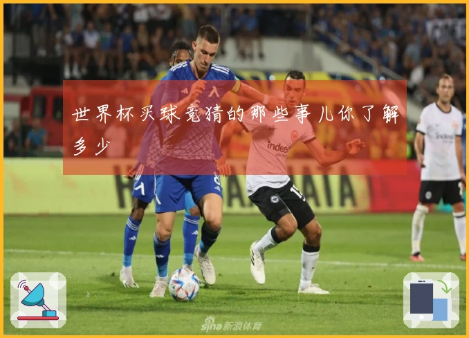 世界杯买球竞猜的那些事儿你了解多少