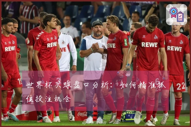 世界杯买球盘口分析：如何精准抓住投注机会