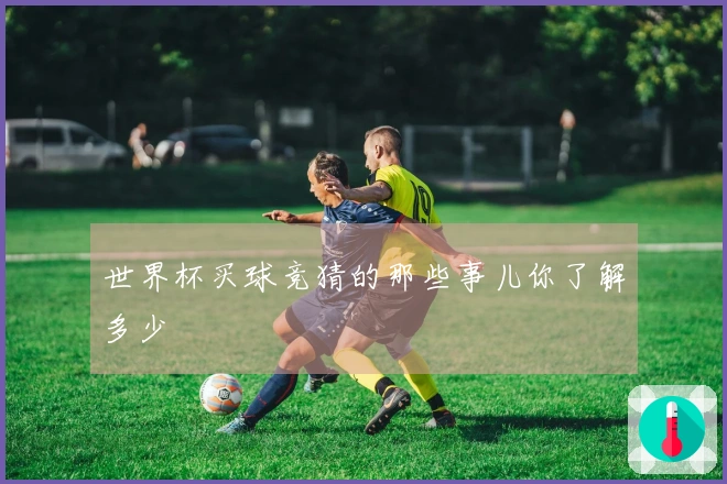 世界杯买球竞猜的那些事儿你了解多少