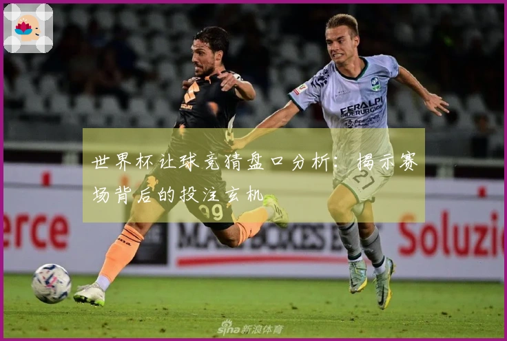 世界杯让球竞猜盘口分析：揭示赛场背后的投注玄机